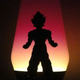 Illustration for article titled Shooting Challenge Silhouettes Gallery 2